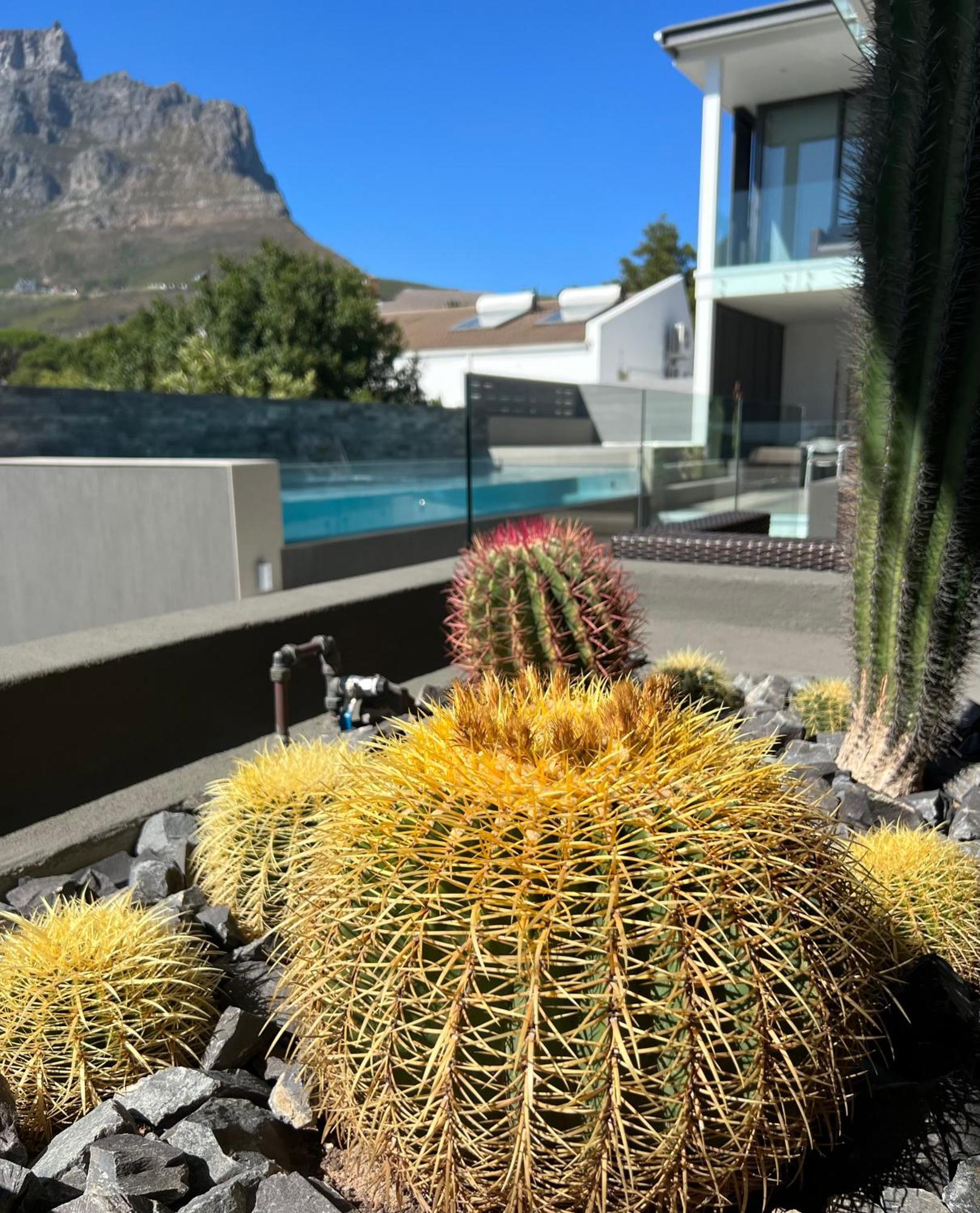 Bayview Boutique Guesthouse Cape Town Eksteriør bilde